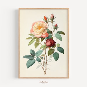 Vintage Rose Botanical Print, Antique Flower Illustration, Muted Floral Wall Art, Minimalist Flower Drawing, Farmhouse Decor, Printable Art