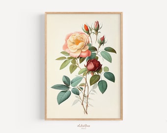 Printable Vintage Rose Art, Antique Botanical Flower Print, Rustic Floral Wall Decor