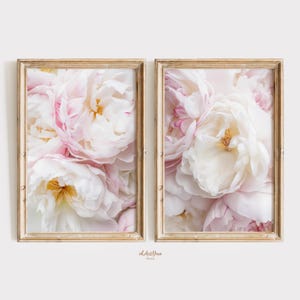 May include: Two framed prints of close-up photos of soft, white and pink peonies.