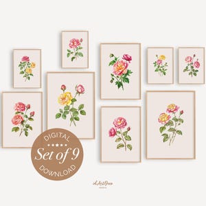 Vintage Botanical Prints Set of 9, Antique Rose Wall Art, Floral Gallery Wall Decor, Farmhouse Botanical Art, Cottagecore, Digital Download