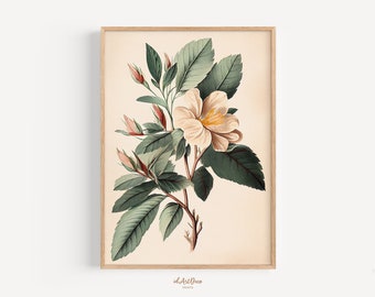 Druckbare Vintage botanische Kunst, Bauernhaus Aquarell Blumen, minimalistische Wanddekoration