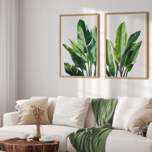 May include: Two framed prints of green banana leaves against a white background. The prints are in wooden frames and are hung on a white wall.