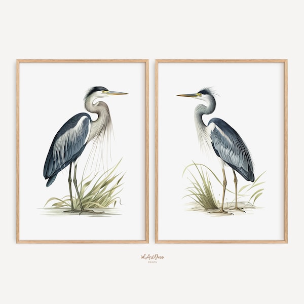 Aquarell Reiher Druck 2er Set, Vogel Drucke, Wand Kunst, Küsten Dekor, Giclée, Kunstdruck, Küsten Kunst, Strand Cottage Dekor, Nautische Kunst