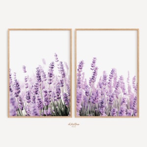 Lavender Prints Set of 2 Wall Art, Kitchen Wall Decor, Lavender Poster, Botanical Set, Floral Print Set, Farmhouse Wall Art Set, Digital Art