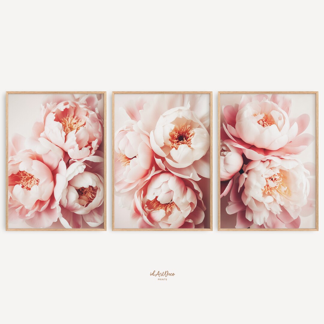 Peony Watercolor Art Set of 3, Blush Pink Floral Printable Wall Decor ...