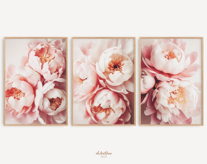 Peony Print, Set of 3 Flower Print, Peony Wall Art, Blush Pink Prints ...
