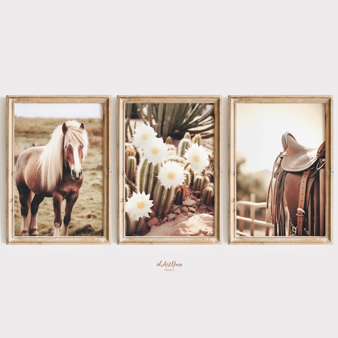 Western Wall Art Set of 3, Horse and Cactus Photography Print, Rustic ...
