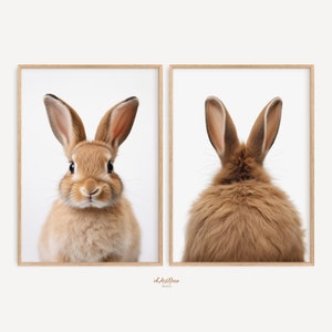 Bunny Print Set of 2, Nursery Wall Art, Kids Baby Animal Posters, Girls Nursery Room Print, Bunny Photo Printable, Rabbit Home Decor