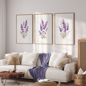 May include: Three framed art prints featuring watercolor paintings of lavender sprigs. The lavender is depicted in shades of purple and green against a white background. The frames are a light brown color. The prints are displayed above a white sofa.