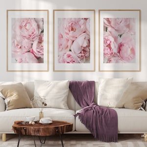 May include: Three framed prints of pink peonies, arranged on a white wall above a white couch with pillows and a throw blanket.