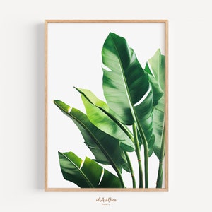 May include: A framed print of a close-up of green tropical leaves against a white background.
