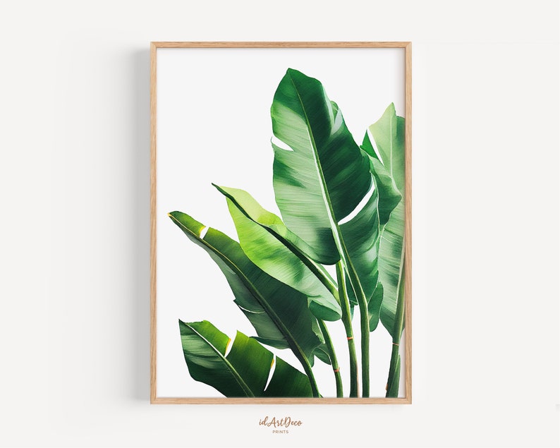 May include: A framed print of a close-up of green tropical leaves against a white background.