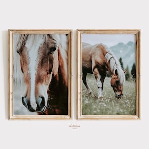 Western Boho Set of 2 Prints, Wild Horse Print, Southwest Farmhouse 2 Pieces Large Wall Art, Printable Equestrian Photography, Horse Poster