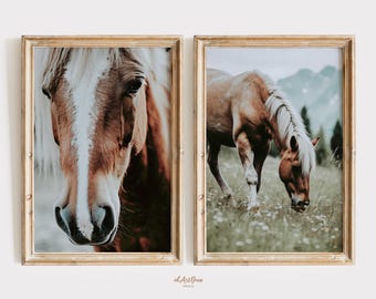 Op de afbeelding: Een set van twee ingelijste prints met een close-up van het gezicht van een bruin en wit paard en een vol-body shot van een bruin paard dat graast in een weide.