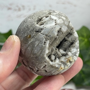 2&quot; Druzy Gray Coral Fossil Sphere – Ancient Energy & Natural Sparkle