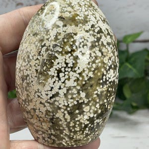 Ocean Jasper Freeform – 9.2 oz, 3.3 Inches Tall – Green & White Polished Crystal, Healing Stone, Home Decor