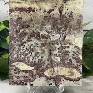 Polished Picture Jasper Slab: Earthy Home Decor, Jewelry Making (3.3&quot; x 4.2&quot;)