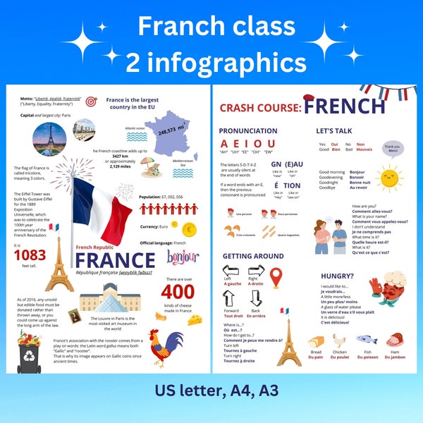 France infographic posters; French classroom decor; French class; France study posters;classroom decor;Digitaldownload;PrintableFranceposter