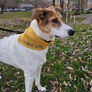 Yellow dog bandana – Please Keep Your Distance for anxious dogs | Simple jersey dog bandana | Signal bandana | Personalized inscription image 2
