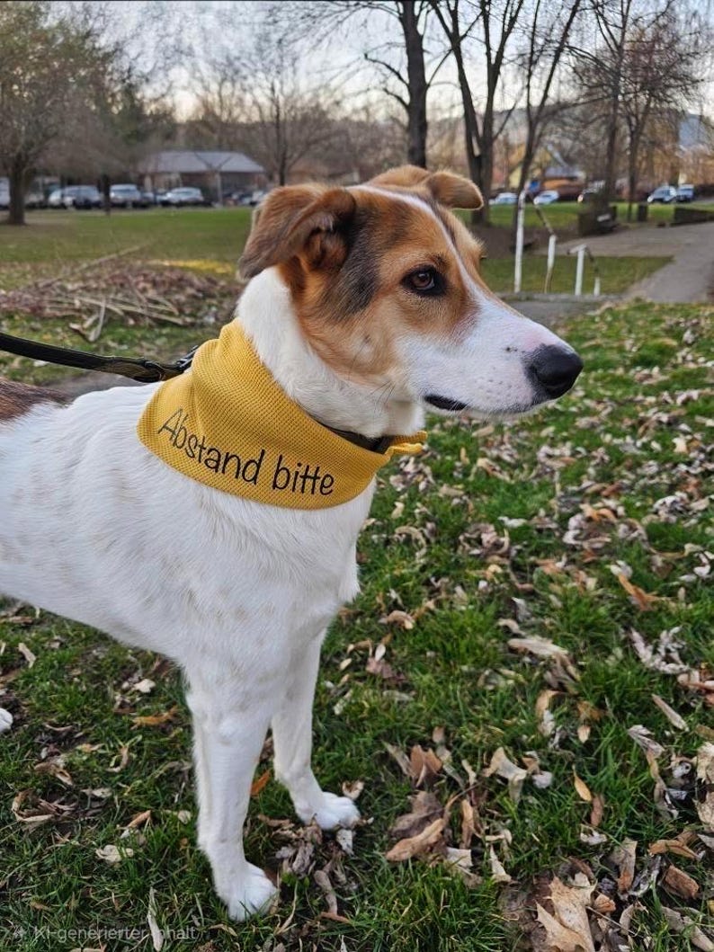 Yellow dog bandana – Please Keep Your Distance for anxious dogs | Simple jersey dog bandana | Signal bandana | Personalized inscription image 2