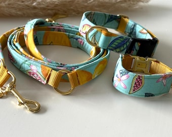 ENA and DONNA Dog Collars | Amalfi Summer | Handmade from fabric and webbing | Selectable webbing color and width | Adjustable | Dog Collar