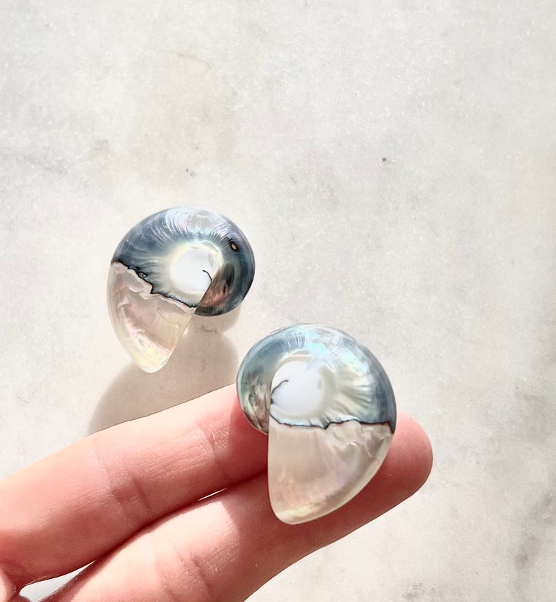 Natural Shell Baroque Pearl Earrings Beach Jewelry Sea Shell Earrings Mermaidcore Aesthetic Beach Wedding Baroque Pearl Small Shell