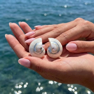 May include: Two small, spiraled seashells with a smooth, off-white exterior and a glossy, iridescent pearlescent center. The shells feature a distinct coiled shape with a pointed apex, showcasing a natural gradient from matte white to shiny silver.
