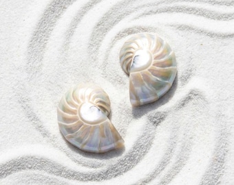 Large Vintage Nautilus Shell Earrings, Natural Iridescent Statement Jewelry