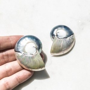 Handmade Nautilus Shell Earrings, Mermaidcore Jewelry for Women, Large Seashell Earrings, Tropical Vacation, Beach Jewelry Gift for Her Large Nautilus Shell