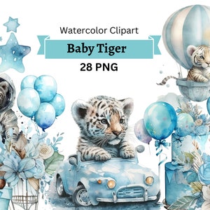 Baby Tiger Aquarell Clipart, Baby Tiger Clipart, Jungenzimmerdekoration, Babyparty, Geburtstagseinladung, Kleiner Tiger Clipart PNG