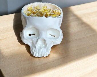 Skull - Bowl - Halloween - Decoration - Human Skull - Halloween Bowl