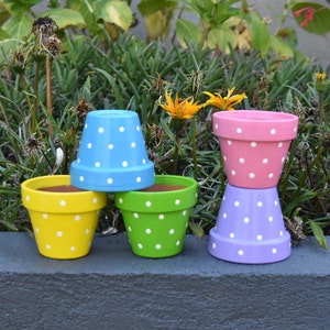 May include: A collection of six small, hand-painted terracotta flower pots. The pots are painted in bright colors: yellow, green, blue, pink, and purple. Each pot is decorated with white polka dots. The pots are arranged on a dark gray surface.