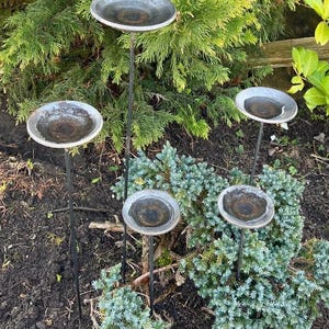 3er-Set Vogeltränke | Gartendeko | Insektentränke | Garten | Deko | Cortenstahl | Edelrost