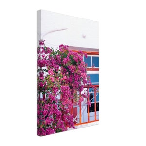 no. 19 - Bougainvillea, Mykonos, Greece