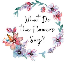 What Do The Flowers Say? A solo game about finding what&#39;s lost