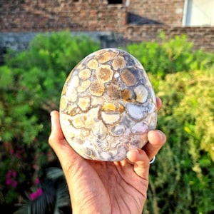 Spectacular Rare Huge 125 MM High Quality White & Brown Cobra Jasper Standing free From| Gifting| Home Decor| Metaphysical crystal