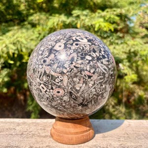 Rare Fossil Sphere, Crinoid Sphere, Orthoceras Sphere, Gastropod Sphere, Stone Crystal Sphere 125 MM
