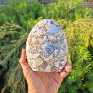 Spectacular Rare Huge 125 MM High Quality White & Brown Cobra Jasper Standing free From| Gifting| Home Decor| Metaphysical crystal