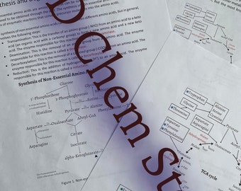 May include: A diagram showing the synthesis and degradation pathways of non-essential amino acids. The diagram includes the names of the amino acids and the enzymes involved in the process. The diagram is labeled "Synthesis of Non-Essential Amino Acids" and "Amino Acid Degradation".