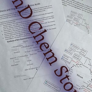 Może przedstawiać: Schemat przedstawiający szlaki syntezy i degradacji aminokwasów nieistotnych. Schemat zawiera nazwy aminokwasów i enzymów zaangażowanych w proces. Schemat jest oznaczony jako "Synteza aminokwasów nieistotnych" i "Degradacja aminokwasów".