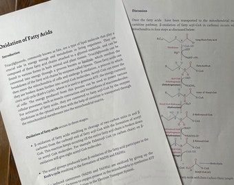 May include: A diagram illustrating the process of beta-oxidation of fatty acids, which occurs in the mitochondria of cells. The diagram shows the breakdown of a long-chain fatty acid into acetyl-CoA molecules, which can then enter the Krebs cycle to produce energy. The diagram includes labels for the enzymes involved in each step of the process, as well as the products of each reaction.