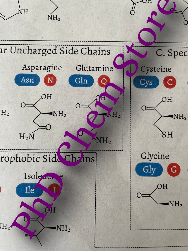 Biochemistry Amino Acids Reference Sheets Etsy