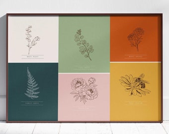Op de afbeelding: Een set van zes botanische illustraties met verschillende bloemen en planten. Elke illustratie is ingelijst in een andere kleur, waaronder groen, roze, oranje en geel. De illustraties zijn in zwart-wit en hebben een eenvoudige, minimalistische stijl.