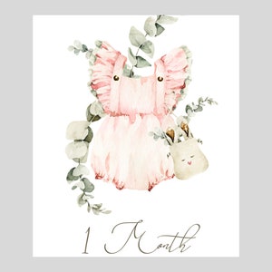Cartes d’étape de bébé | Rumpler rose aquarelle | Cadeau de fête de naissance | Nouveau cadeau d’étapes pour bébé | Photo du mois de bébé