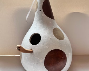 Gourd Birdhouse/ Birdhouse/ Handmade Birdhouse/Outdoor Birdhouse/Outdoor décor