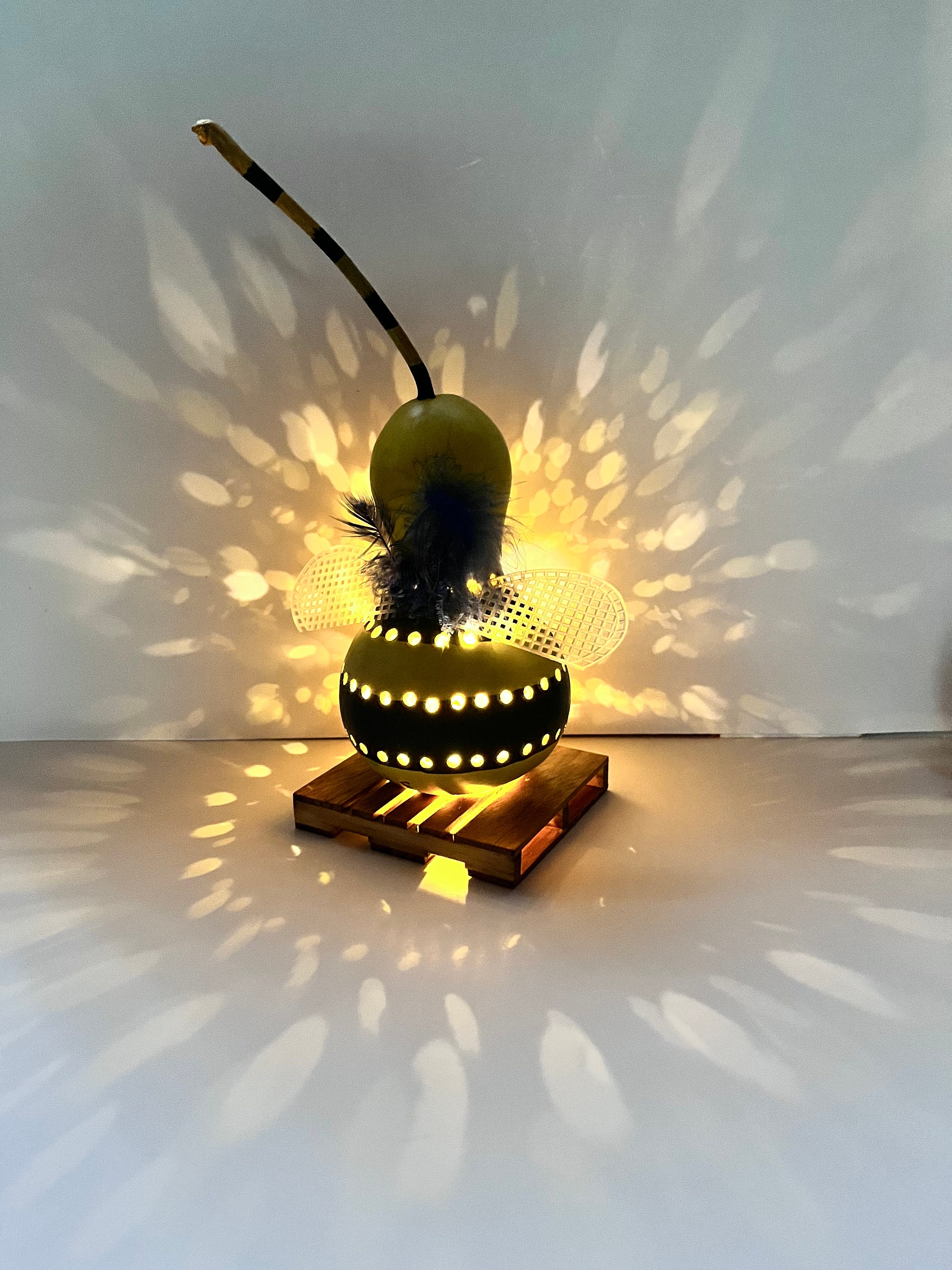 Gourd Lamp/ Natural Gourd Art/ Honeybee Gourd Lamp/ Night Lamp/room