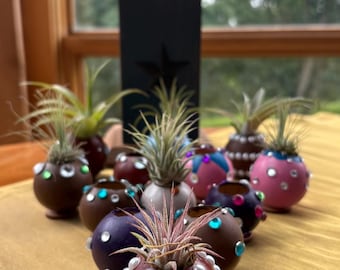 Mini maceta de calabaza: decoración ecológica artesanal