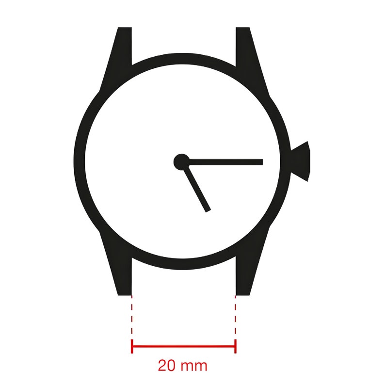 MoonSwatch strap 20mm, bracelet de montre de haute qualité Pour Omega x Swatch watch & Speedmaster MoonWatch image 5