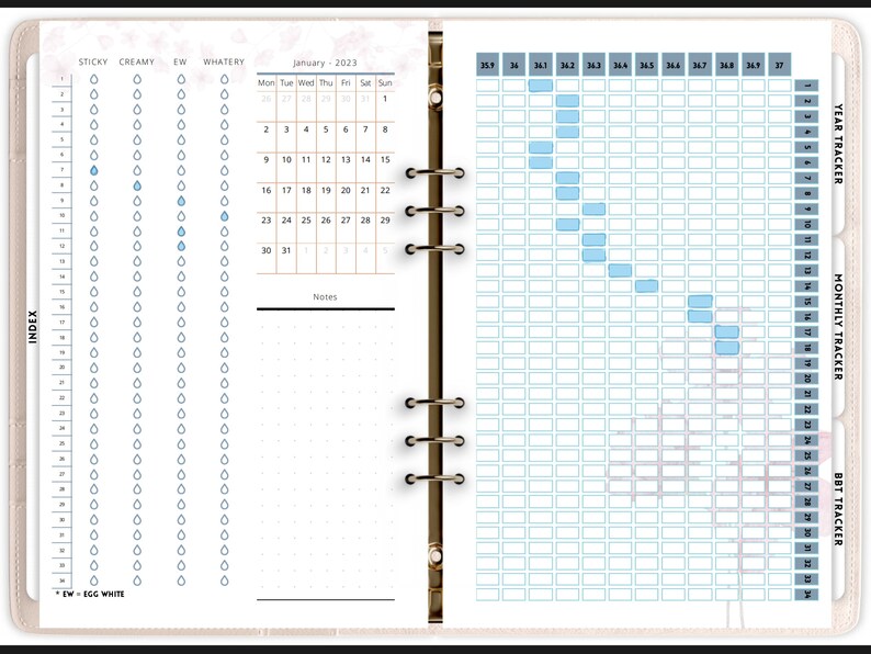 The Period & BBT Tracker - Celsius - Etsy