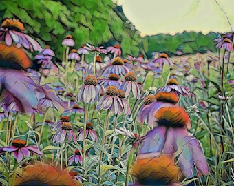 Cone flower midwest flowers artistic print Green Lake Wisconsin art